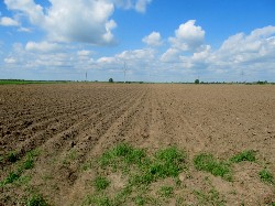 Изображение Изображение