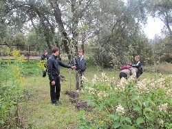 �����������