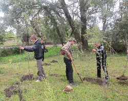 �����������