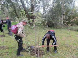 �����������