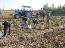 �����������