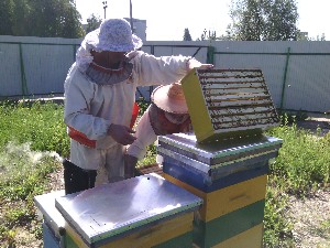 �����������