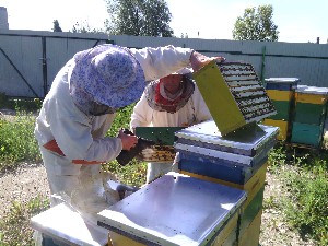 �����������