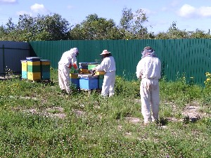 �����������