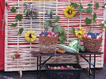 �����������