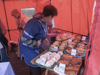 �����������