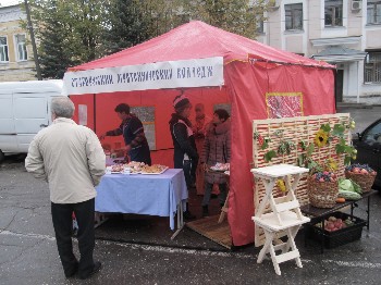 �����������