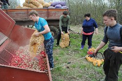 �����������