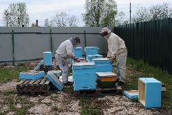 �����������