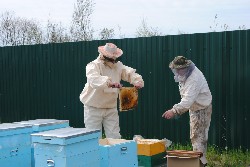 �����������