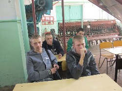 �����������