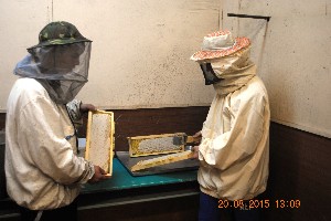 Изображение Изображение