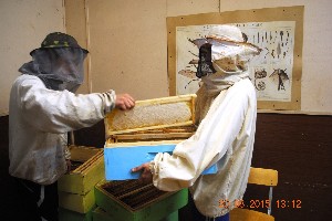 Изображение Изображение