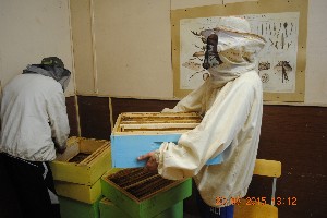 Изображение Изображение