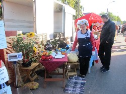 �����������