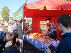 �����������