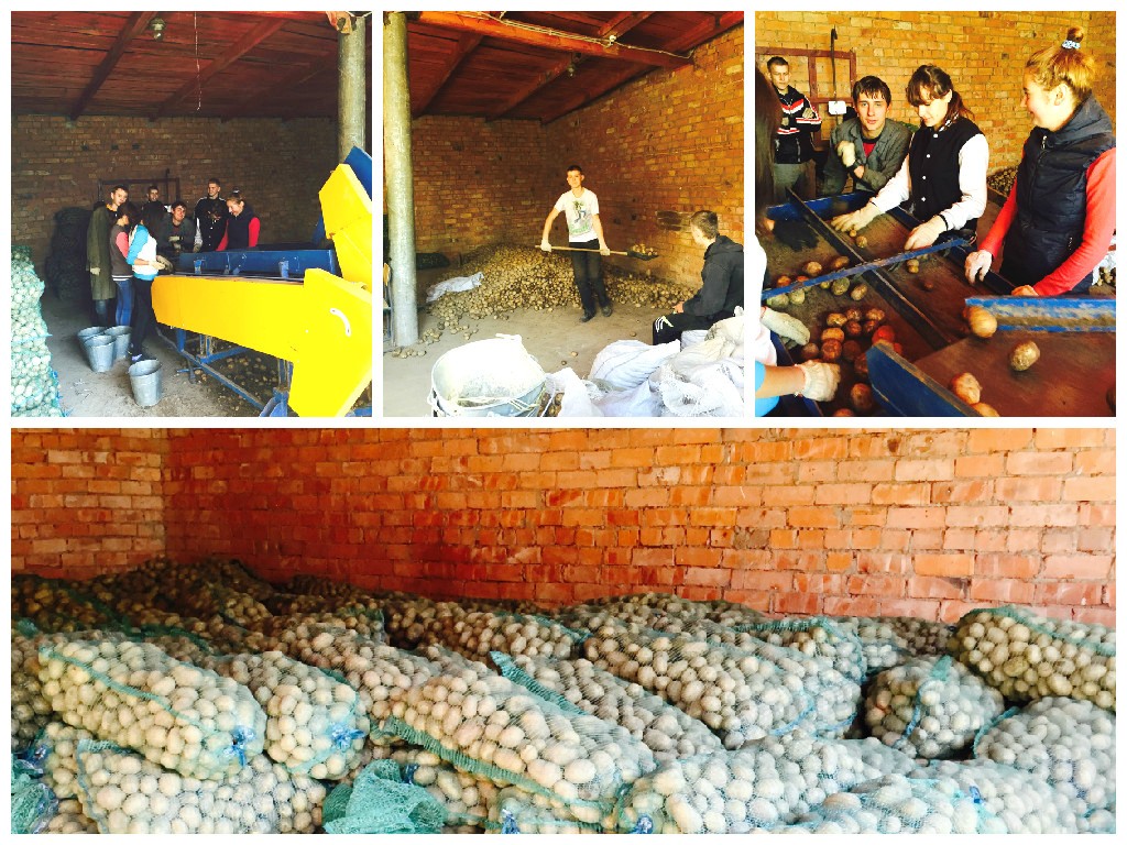 Изображение Изображение