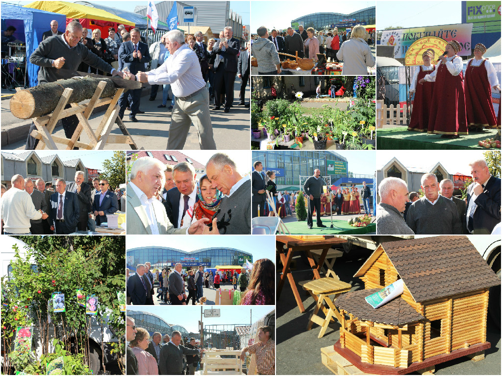 Изображение Изображение