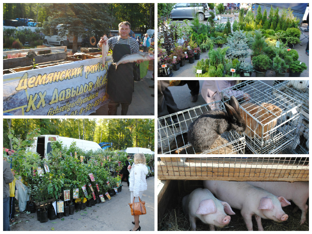 Изображение Изображение