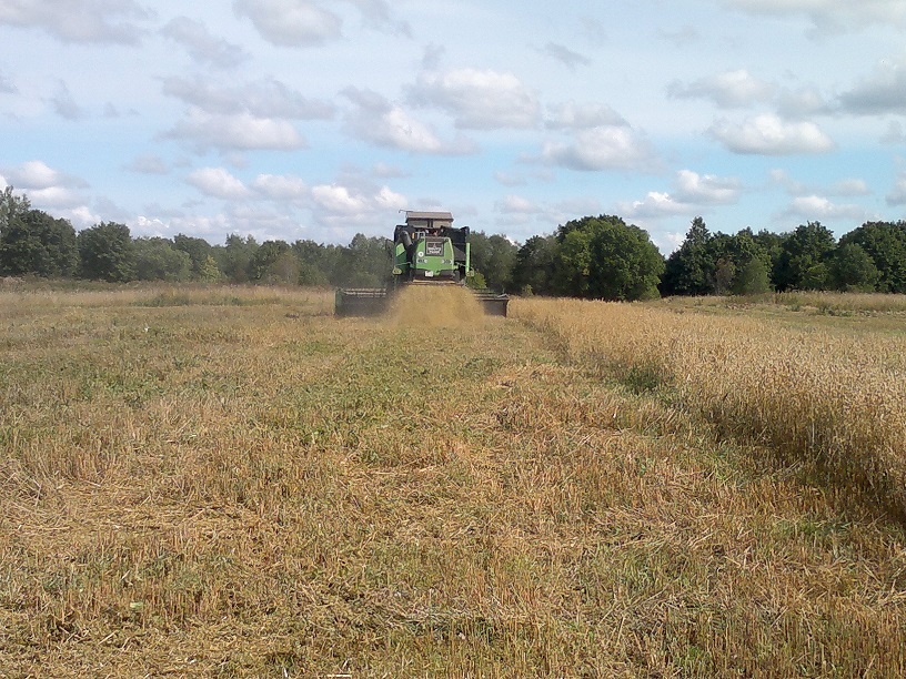 Изображение Изображение