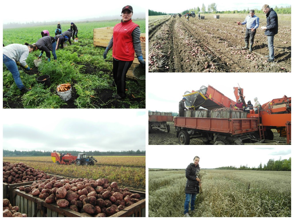 Изображение Изображение