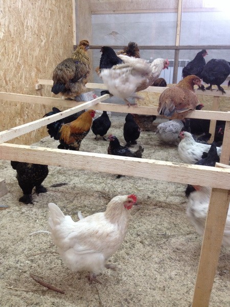 Изображение Изображение