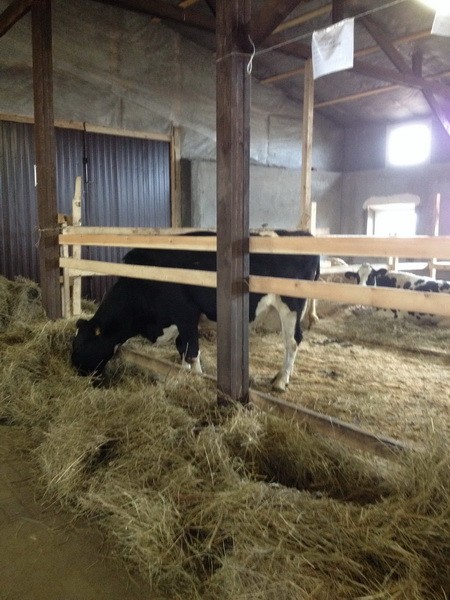 Изображение Изображение