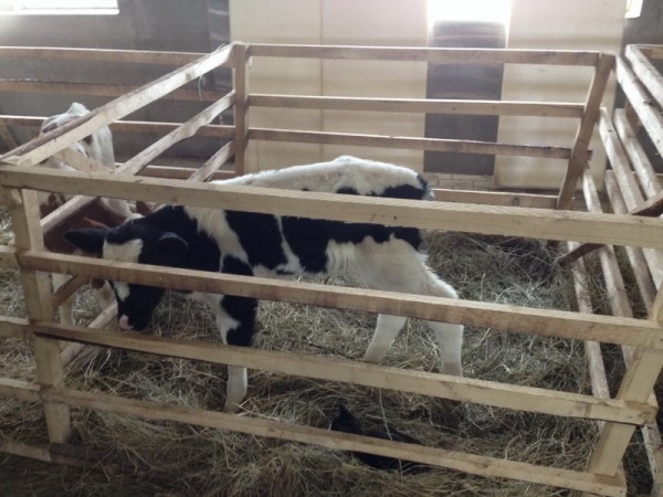 Изображение Изображение