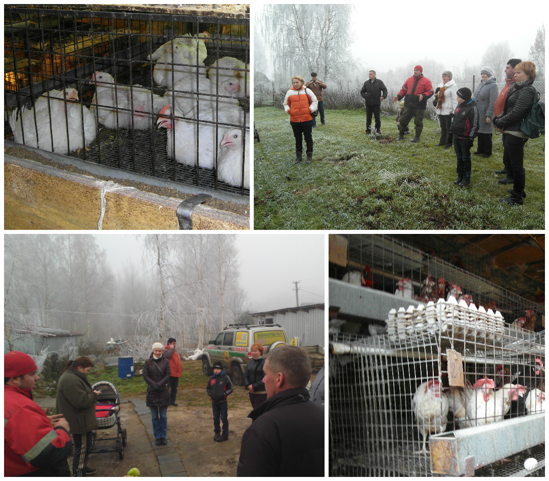 Изображение Изображение