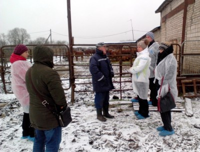 Изображение Изображение