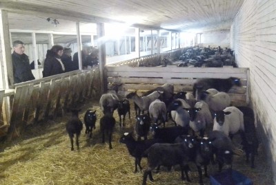 Изображение Изображение