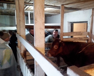 Изображение Изображение