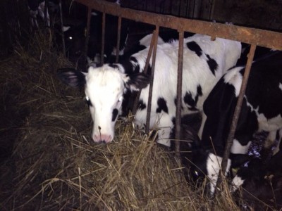 Изображение Изображение