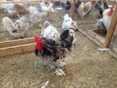 Изображение Изображение