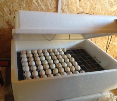 Изображение Изображение