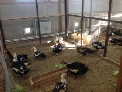 Изображение Изображение