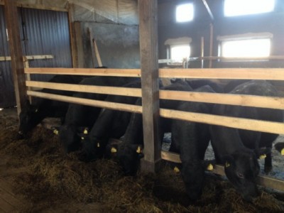 Изображение Изображение