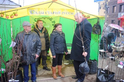 �����������