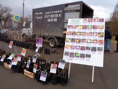 �����������