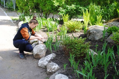 Изображение Изображение