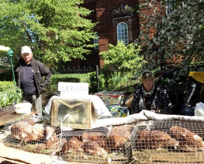 Изображение Изображение