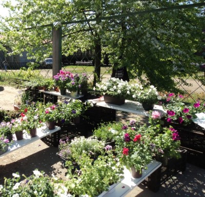 Изображение Изображение