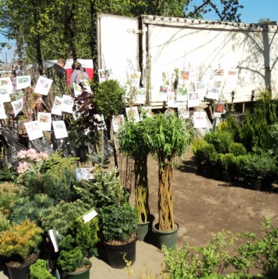 Изображение Изображение