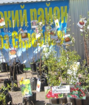 Изображение Изображение