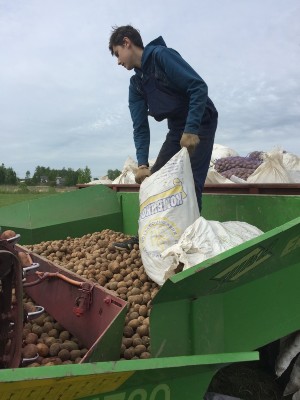 Изображение Изображение