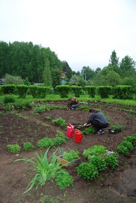 �����������