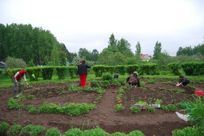 �����������