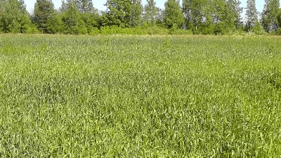 Изображение Изображение