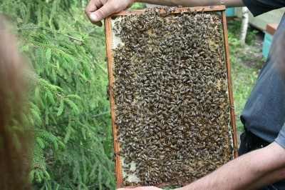 Изображение Изображение