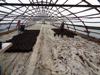 �����������